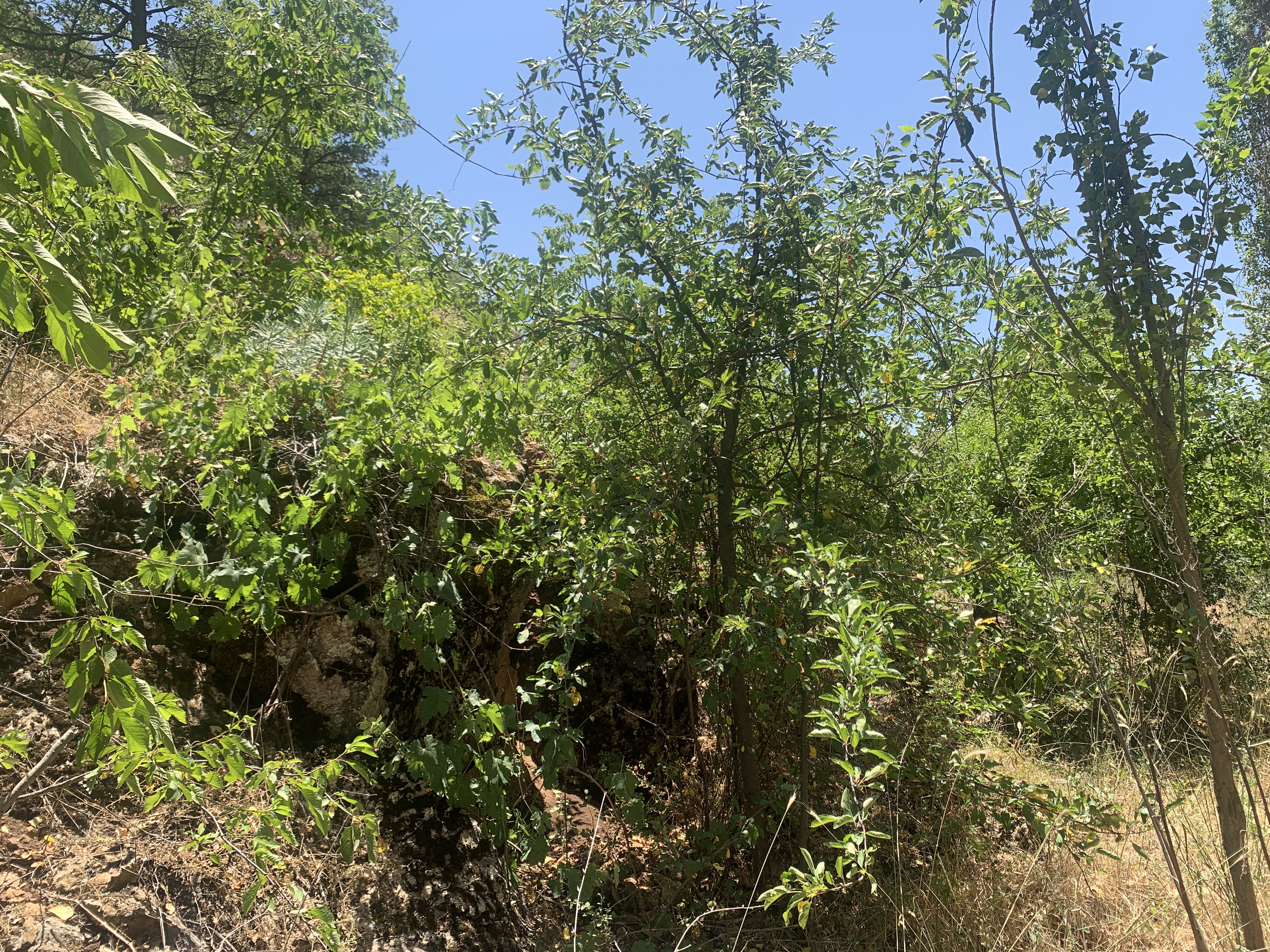 Fotoğraf